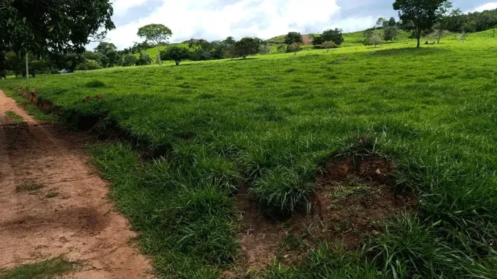 CHÁCARA EM PETROLINA DE GOIÁS 5.75 ALQ