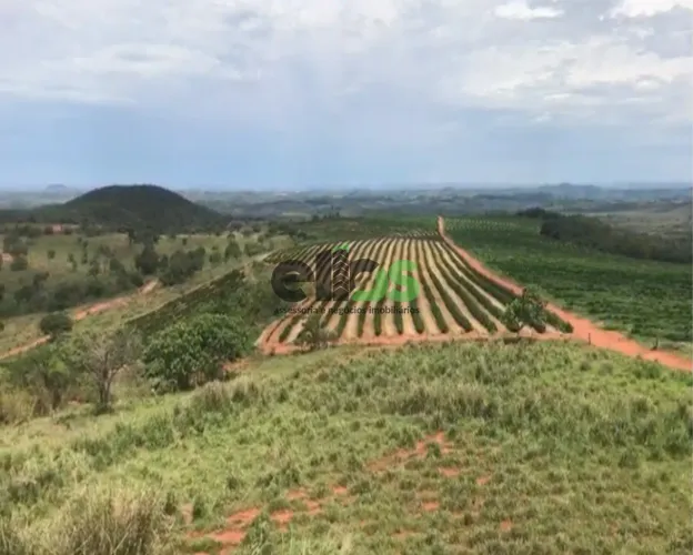 Fazenda de Dupla Aptidão - AGRICULTURA CAFÉ, EUCALITPO e PECUÁRIA, 1.674 hectares, à venda
