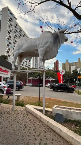 Escultura Boi Nelore em fibra