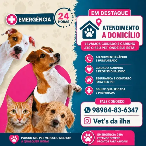 Atendimento Veterinário Homecare 24h