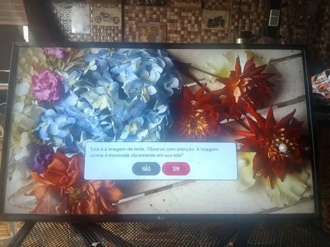 TV 43 LG Smart