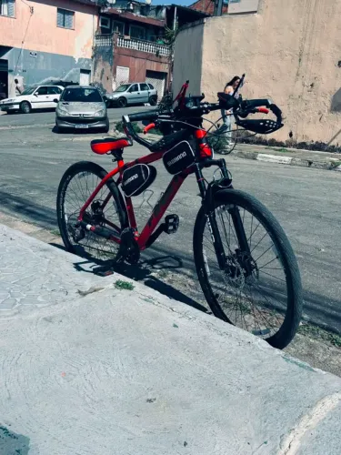 Aro 29 aceito gios ou rupi naja