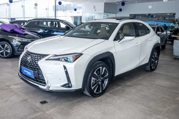 Lexus UX-250H Luxury 2.0 16V Aut.(hybrid) 2024