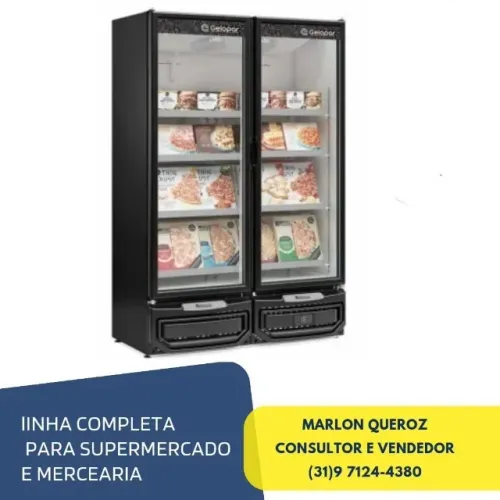 Freezer Conservador Gelopar 2 Portas Novo