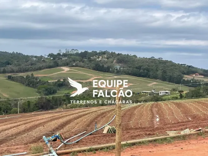 Imóvel para venda tem 500 metros quadrados em Recreio Topázio (Caucaia do Alto) - Cotia - 