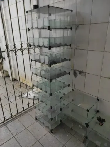 Vidros temperado e tradicional variedades