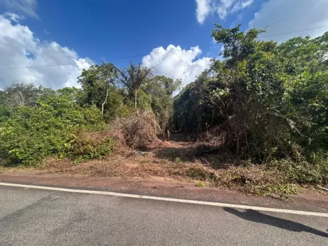 Moura Gestor Imobiliario Vende Lotes Rurais na Estrada de Vigia, Pará