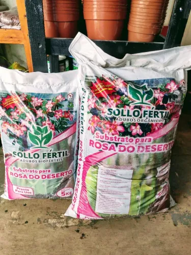 Substrato Sollo Fértil para Rosa do Deserto 5kg