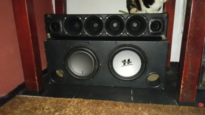 Caixa de Som Completa: Subwoofer e Tweeters