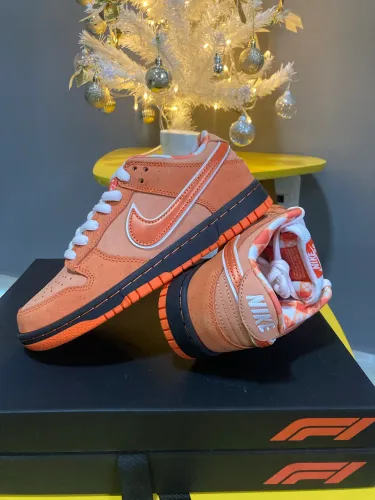 Nike Dunk Orange Lobster