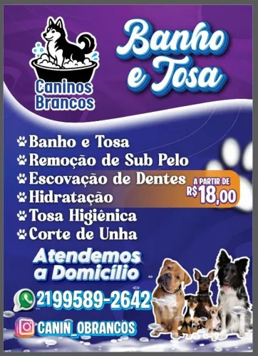 Banho e tosa a domicílio! Tosador