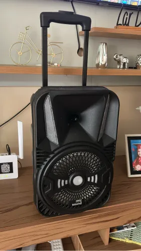 CAIXA DE SOM 300w