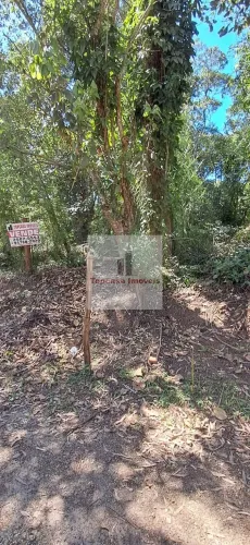 Lote / Terreno em Jardim das Palmeiras (Zona Sul) - São Paulo