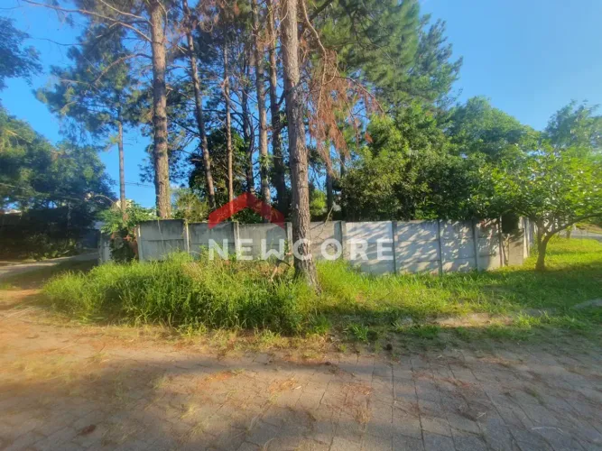 Lote em Rua Minas Gerais - Gramado - Cotia/SP