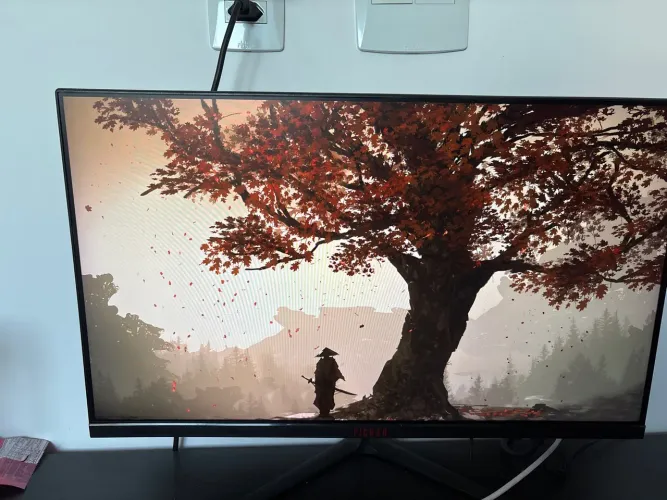 Monitor