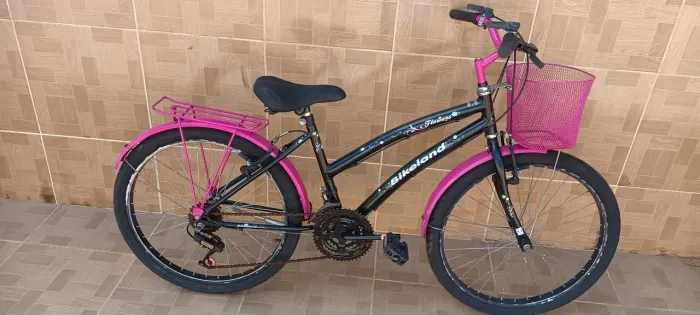 Bicicleta aro 24