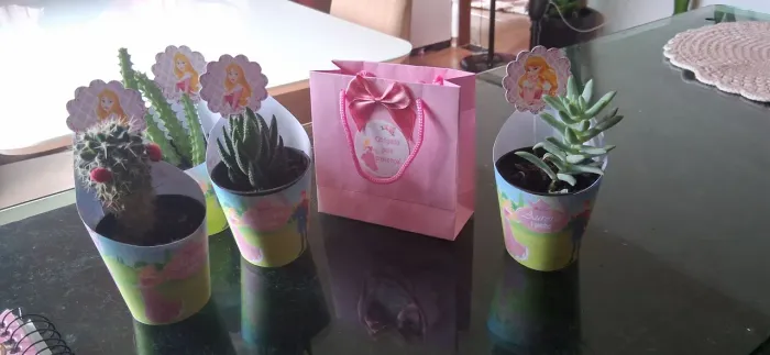 Kit brinde de aniversário cactos suculentas 10 unidades