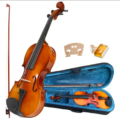 Troco violino por notebook