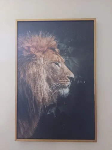 Quadro 