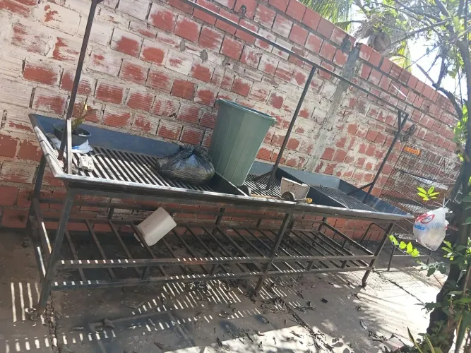 Expositor de frutas 