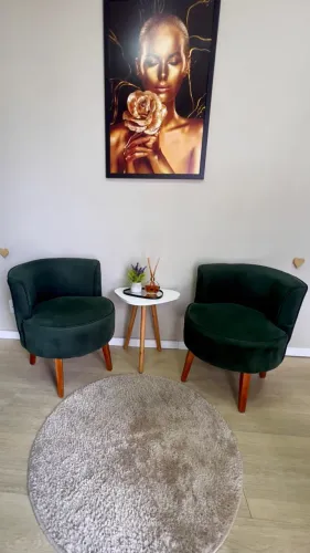 2 poltronas novas