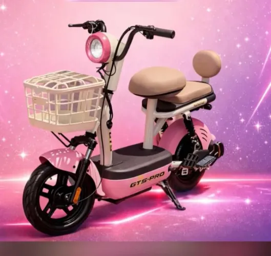 Bicicleta elétrica GTS PRO 500 W.