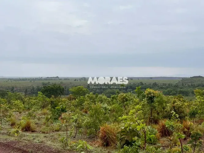 Fazenda à venda, 1.249 hectares por R$ 9.000.000 - Lagoa do Tocantins/Tocantins