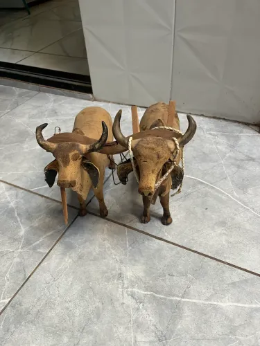 Boi para ornamentação