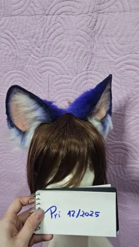 Orelha em arco carnaval cosplay 8