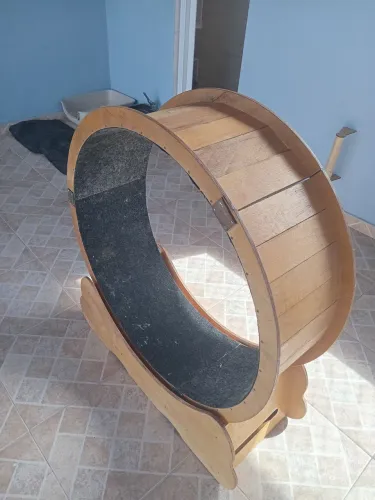 Roda de exercícios para gatos