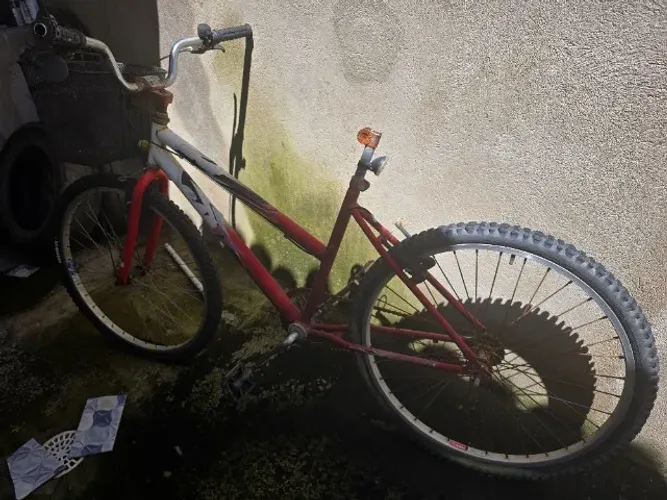 Bicicleta feminina