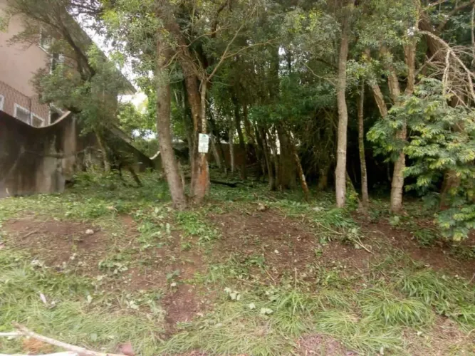 Lote em condomínio em Rua das Dracenas - Chácara Moinho Velho - Carapicuíba/SP