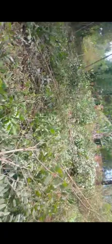Terreno para sítio 