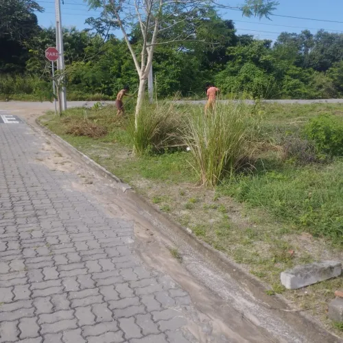 Lote