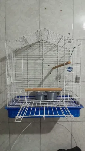 Vende_se ,uma gaiola , semi nova ótimo estado de uso.