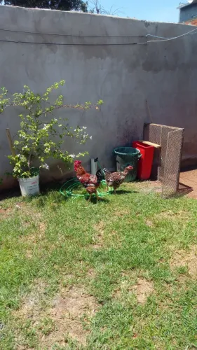 Casal de GSB