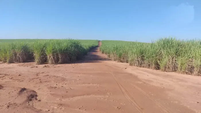 Fazenda para venda no PR. Noroeste.