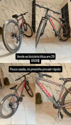 Bicicleta lótus cxr aro 29