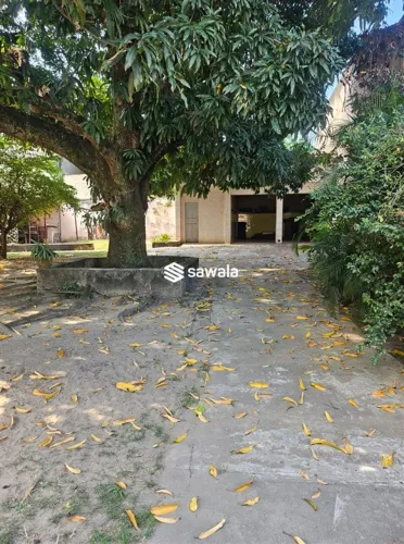 Oportunidade de investimento terreno na Freguesia