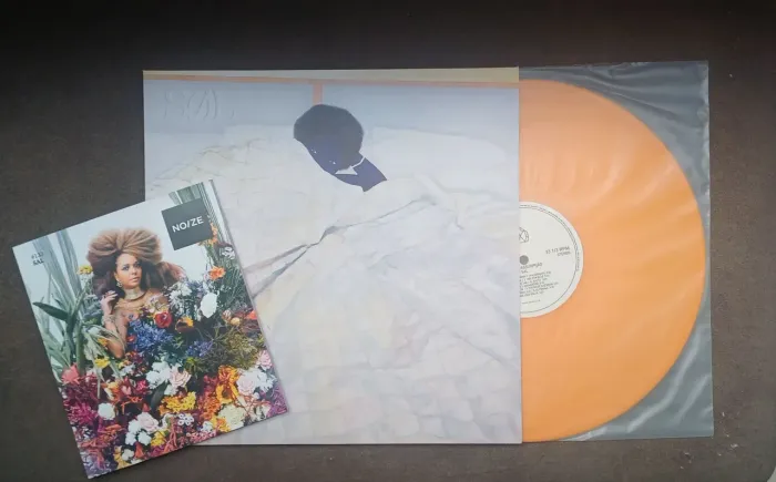 NOVO LP VINIL Anelis Assumpção - Sal (Kit NOIZE Disco + Revista)