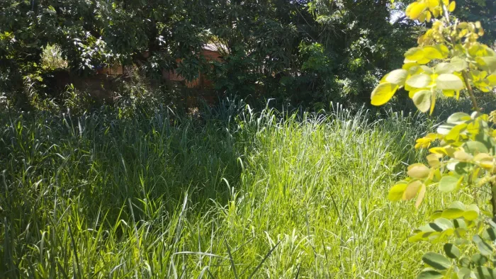 Lote garavelo sul 2 asfaltado 369mt,lote desmembrado 184,5mt 40mil,lote obra inacaba 60mil