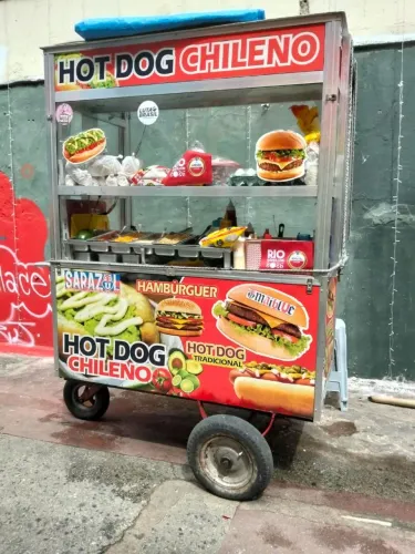 ? VENDO CARRINHO DE LANCHES ?