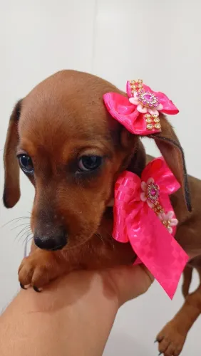 Que presente mais lindo ?