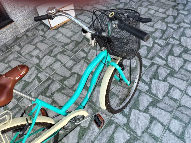Bicicleta aro 24