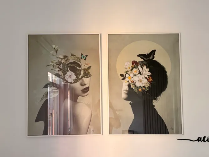 Quadros