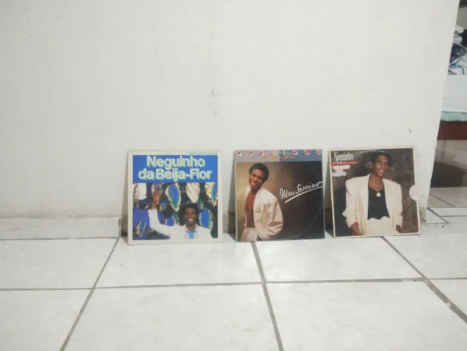 Discos de vinil Neguinho da Beija Flor