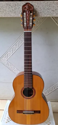 VIOLÃO DIGIORGIO 