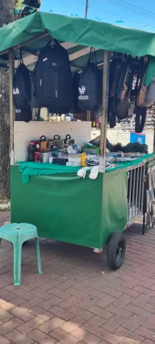 Vendo carrinho camelo *