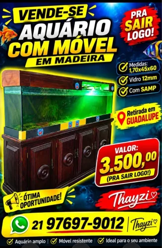 Vendo Aquário com Móvel em Madeira