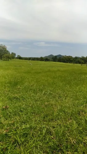 Fazenda em mata azul  13 alq